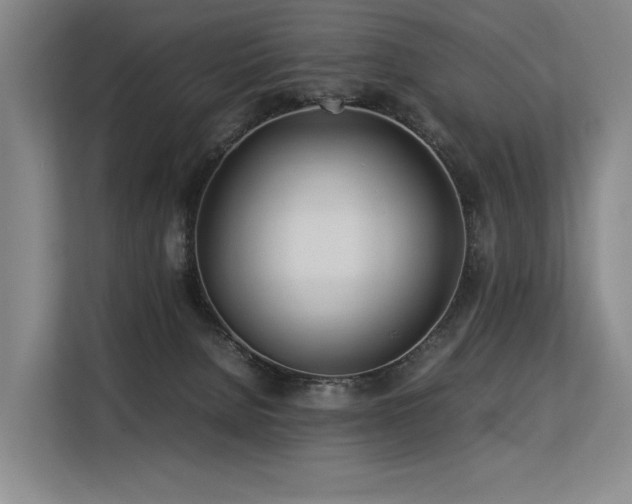 X0000113560080200909181228