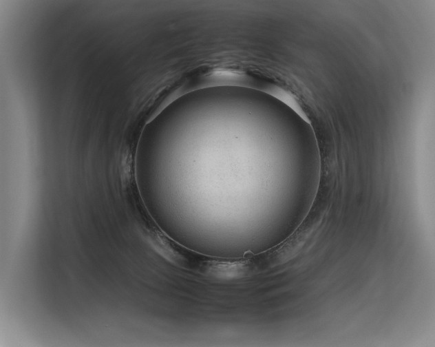 X0000113560081200909181228