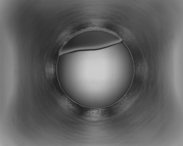 X0000113560084200909181228