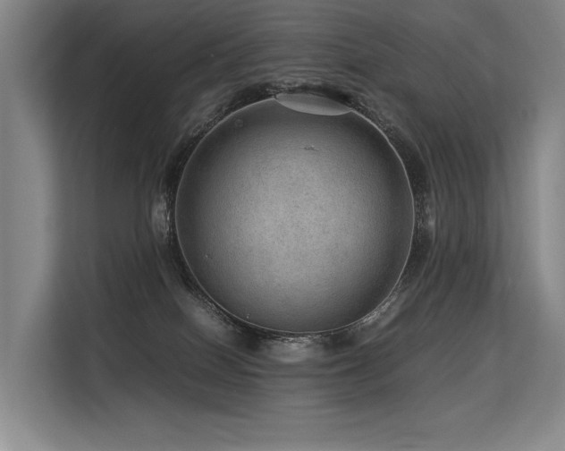 X0000113560086200909181228