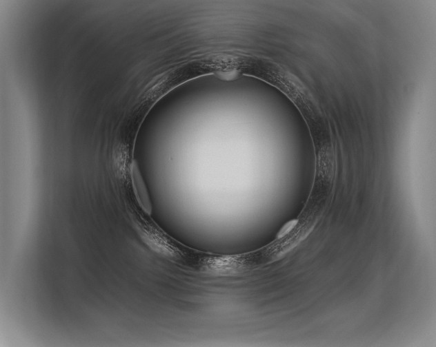 X0000113560092200909181228