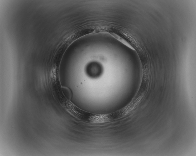 X0000113560093200909181228