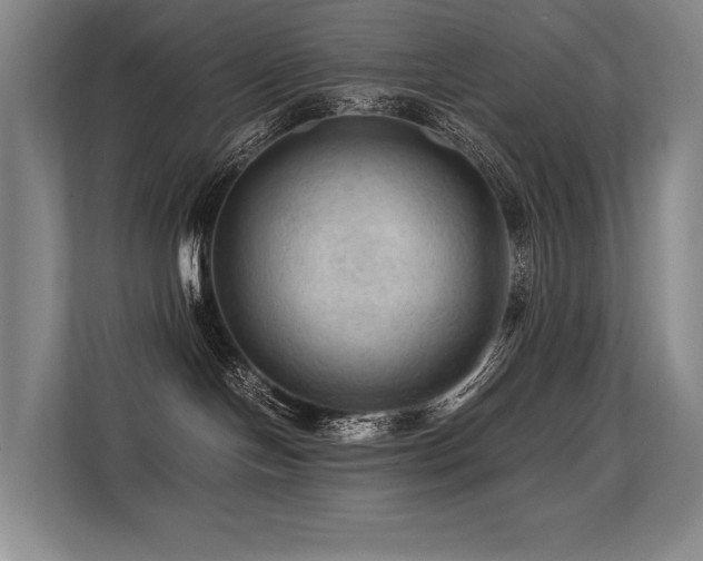 X0000113560094200909181228