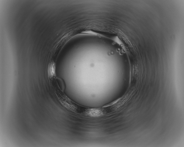 X0000113560095200909181228