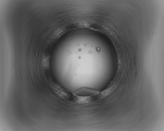 X0000113560096200909181228