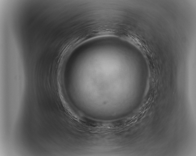 X0000113560097200909181227