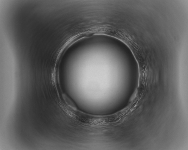 X0000113560100200909181227