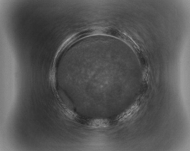 X0000113560101200909181227