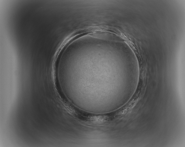 X0000113560103200909181227