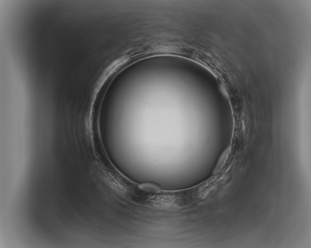 X0000113560104200909181227
