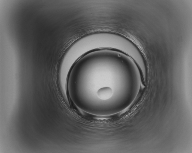 X0000113560105200909181227