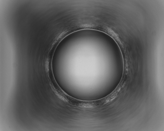 X0000113560106200909181227