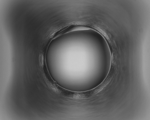 X0000113560109200909181227