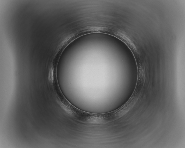 X0000113560110200909181227