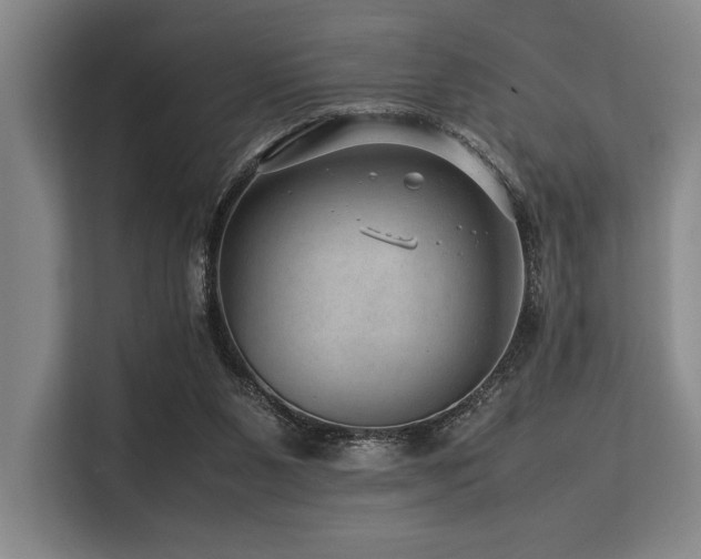 X0000113560111200909181227