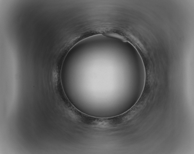 X0000113560113200909181227