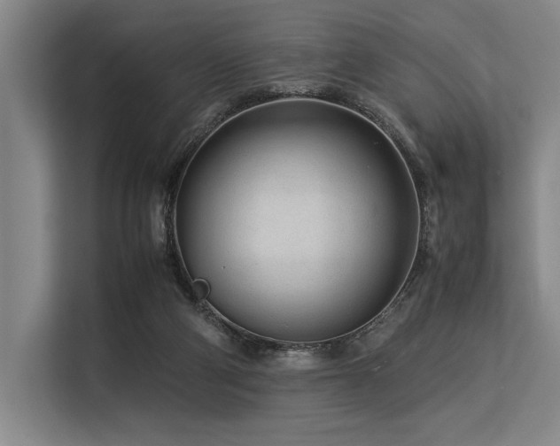 X0000113560114200909181227
