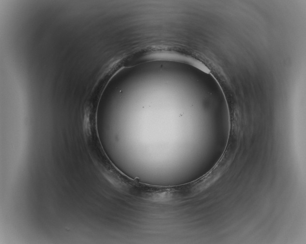 X0000113560116200909181227