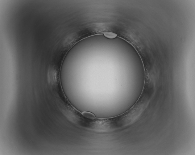 X0000113560117200909181227