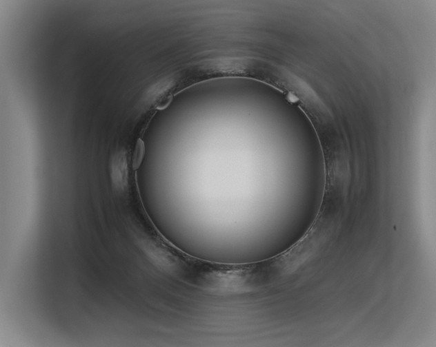 X0000113560120200909181227