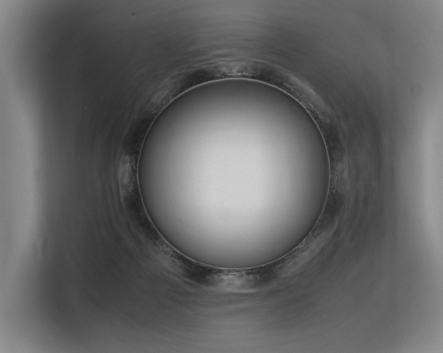 X0000113560121200909181227
