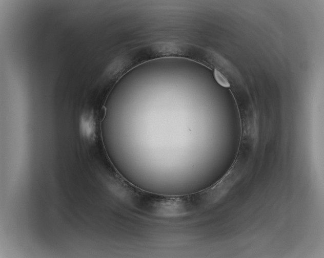 X0000113560124200909181227