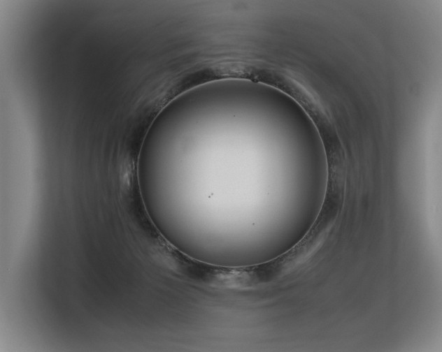 X0000113560125200909181227
