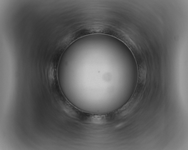 X0000113560126200909181227