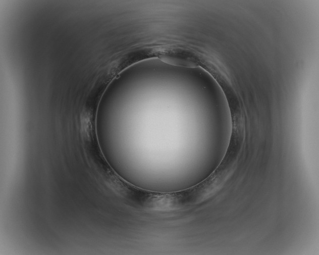 X0000113560127200909181227