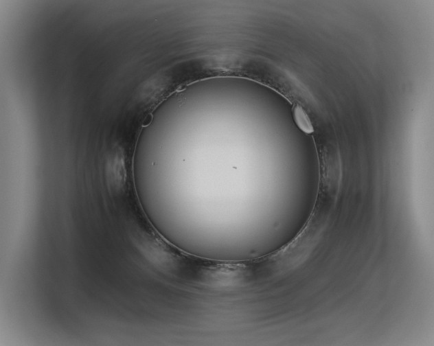 X0000113560128200909181227