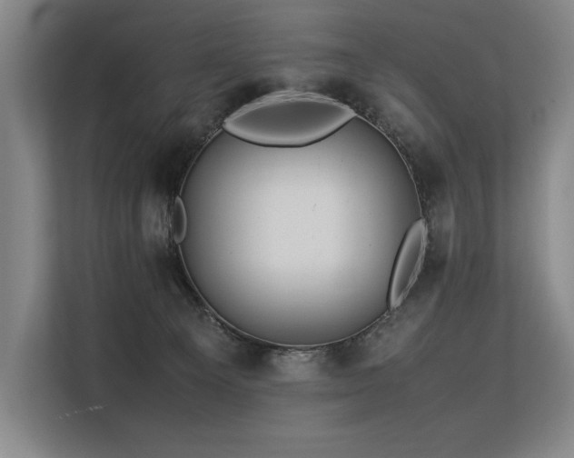 X0000113560129200909181227