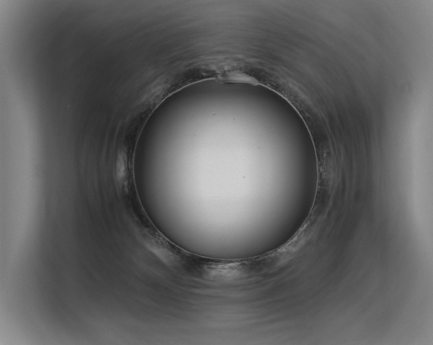 X0000113560132200909181227