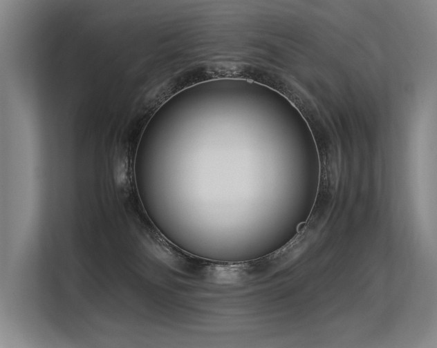 X0000113560134200909181227