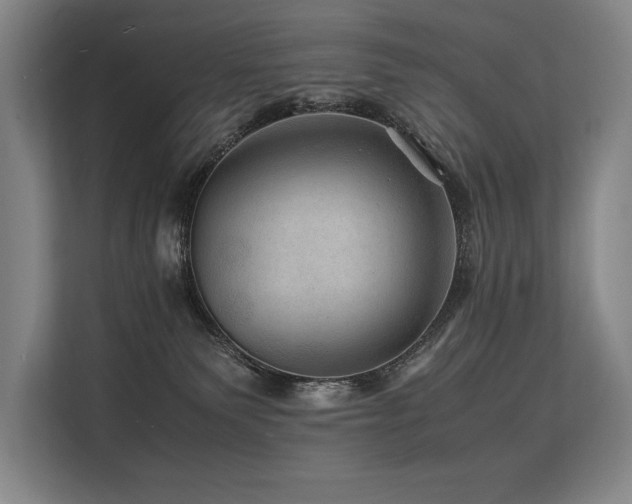 X0000113560135200909181227