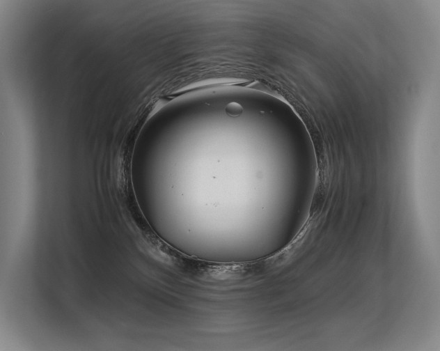 X0000113560136200909181227