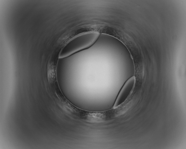 X0000113560137200909181227