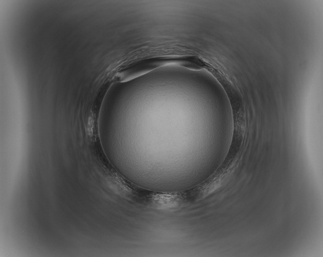 X0000113560139200909181227