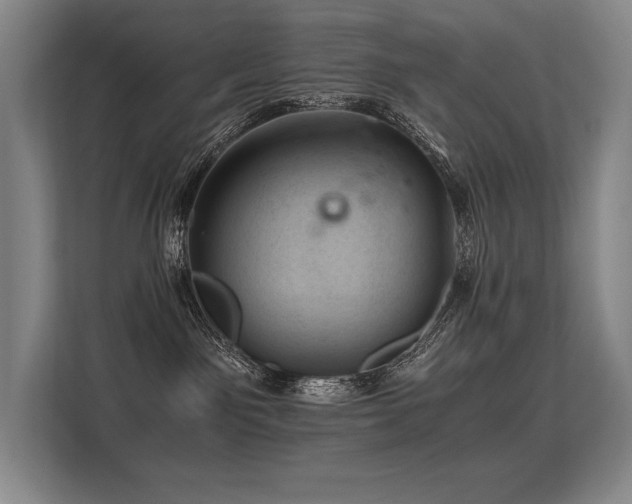 X0000113560141200909181227