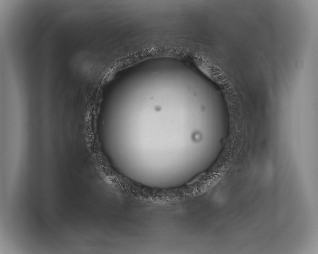 X0000113560144200909181227