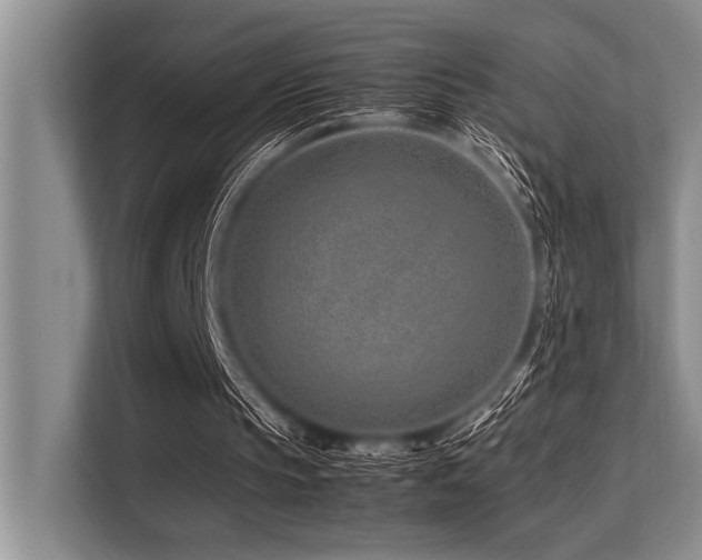 X0000113560145200909181226