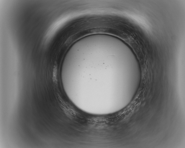 X0000113560146200909181226
