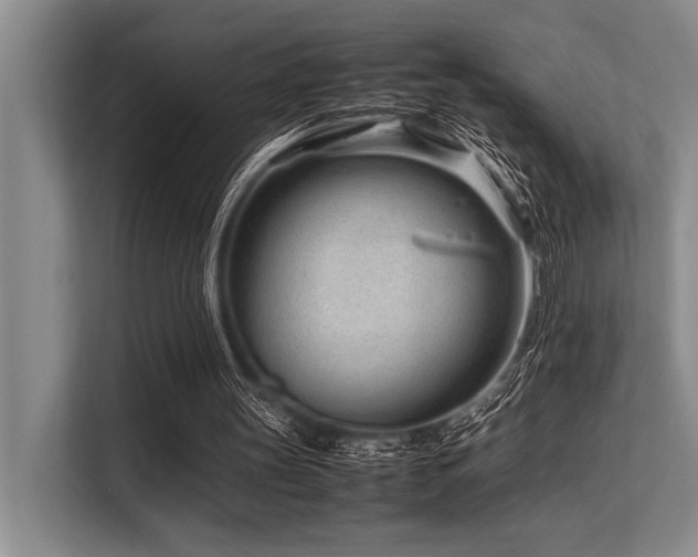 X0000113560147200909181226