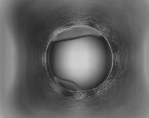 X0000113560148200909181226