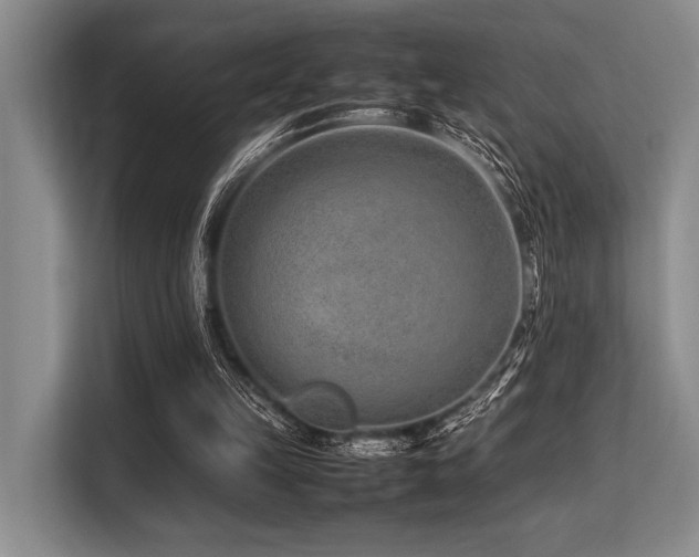 X0000113560149200909181226