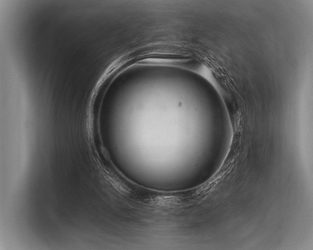 X0000113560150200909181226