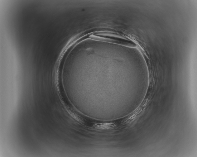 X0000113560151200909181226
