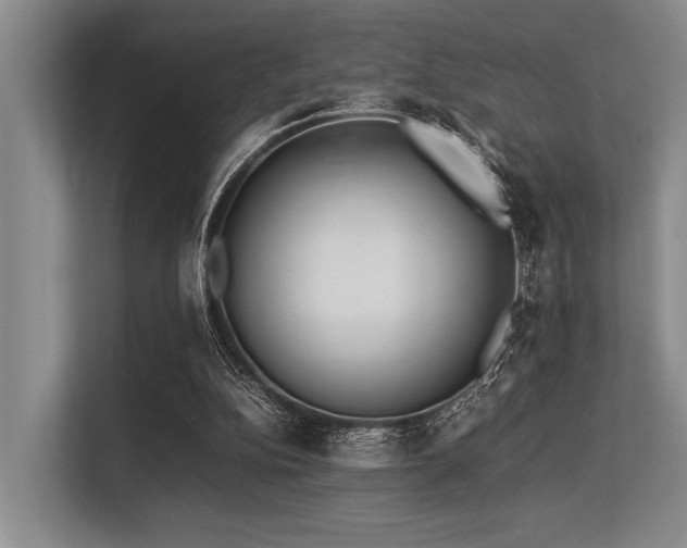 X0000113560152200909181226