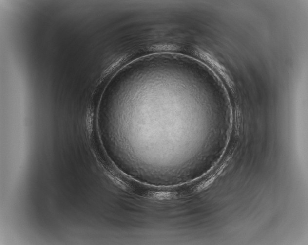 X0000113560153200909181226