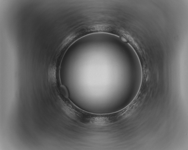 X0000113560154200909181226