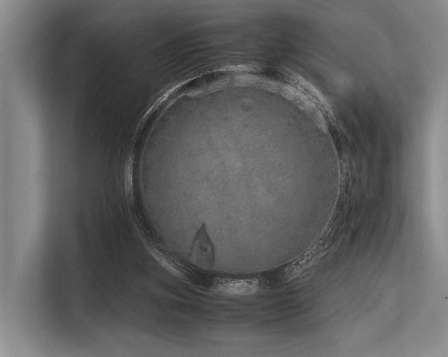 X0000113560155200909181226